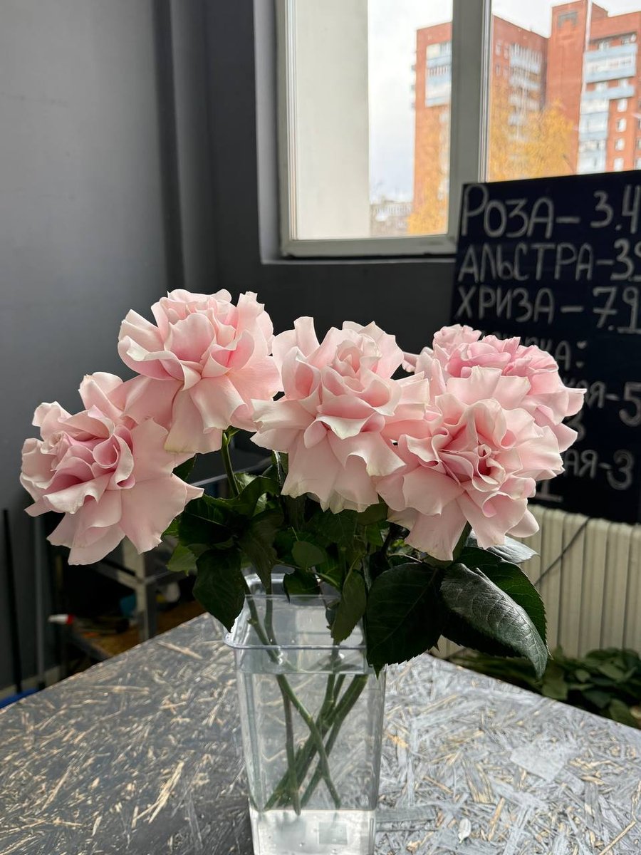 Французские розы